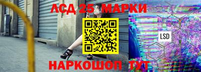 СК Новозыбков
