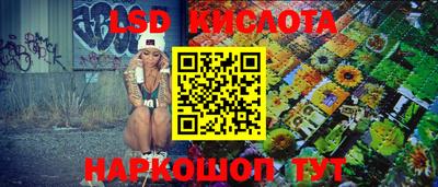 СК Новозыбков