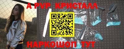 СК Новозыбков