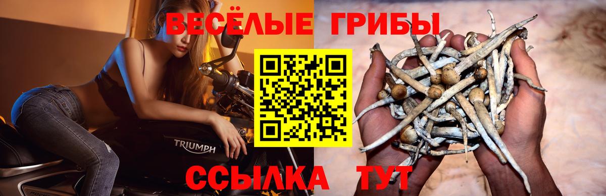 Псилоцибиновые грибы GOLDEN TEACHER  Вход с VPN  Чапаевск 